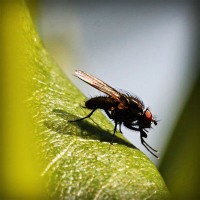 /album/vinoteka-jakubik/photolia-a04-jpg/