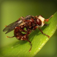 /album/vinoteka-jakubik/photolia-a06-jpg/