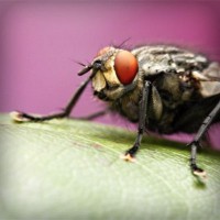 /album/vinoteka-jakubik/photolia-a08-jpg/